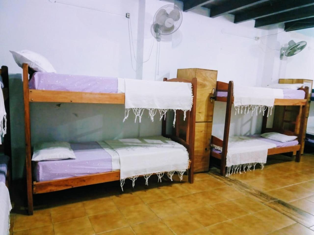 أسونسيون Black Cat Hostel المظهر الخارجي الصورة